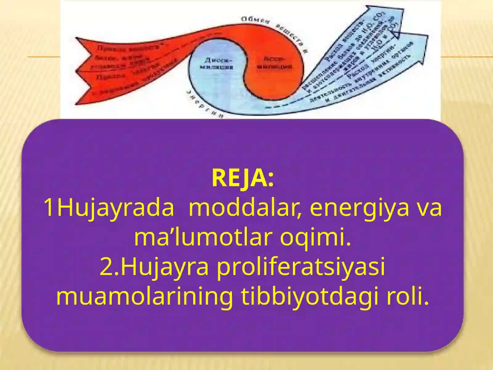 Hujayradamoddalar, energiya va ma’lumotlar oqimi 2