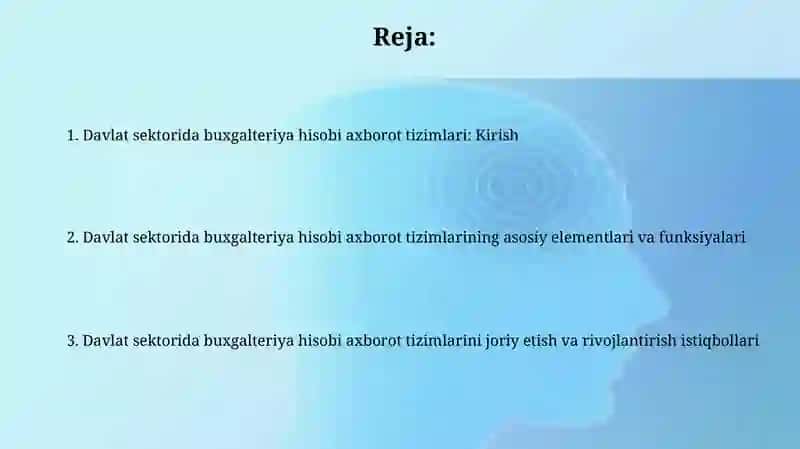 Davlat sektori buxgalteriya hisobiningaxborottizi 2