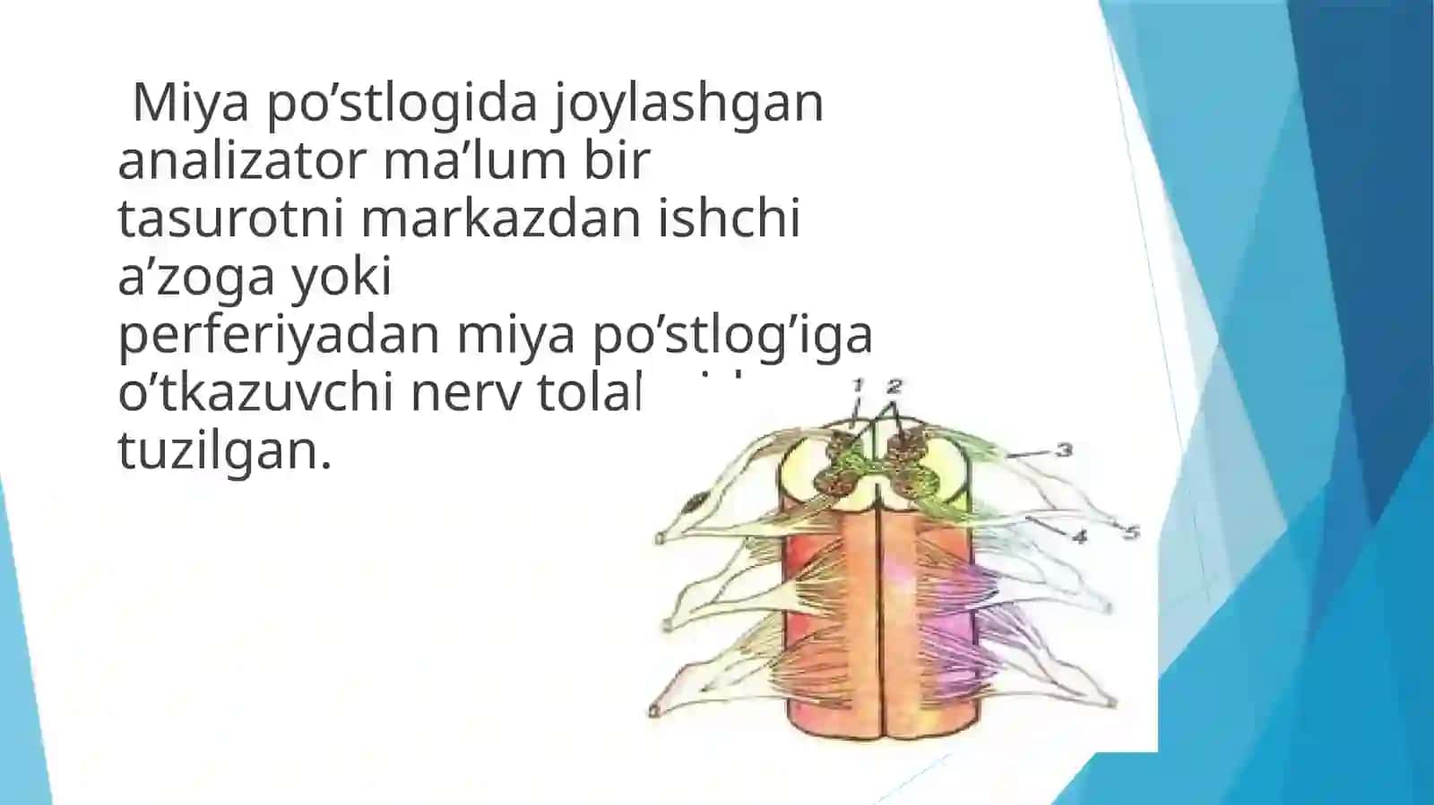 O'tkazuv yo'llari 2