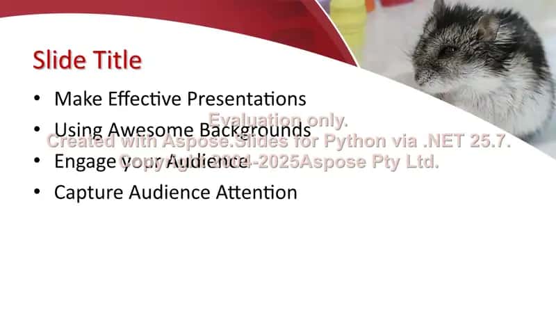 Presentation Templates 2