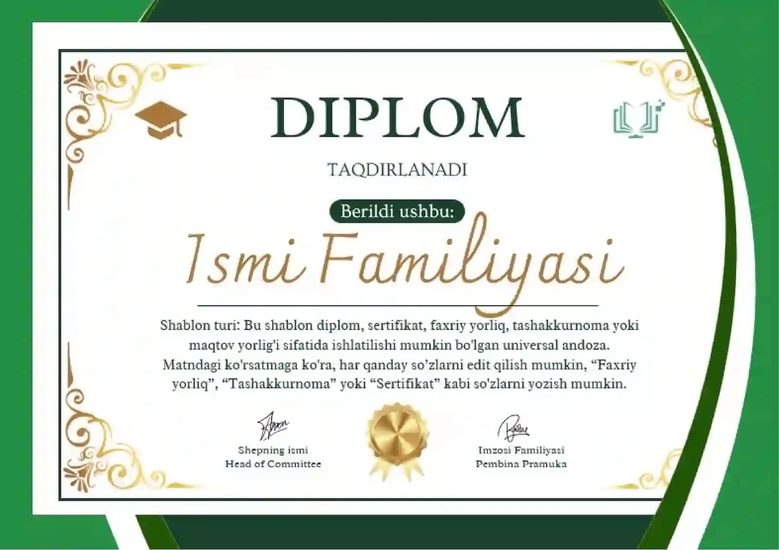 DIPLOM 2