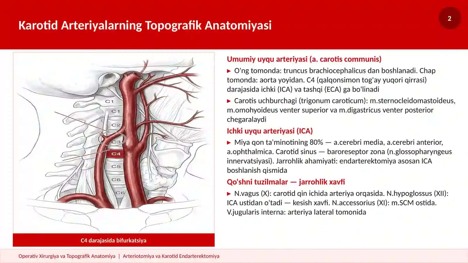 ARTERIOTOMIYA KAROTID PREZENTATSIYA 2