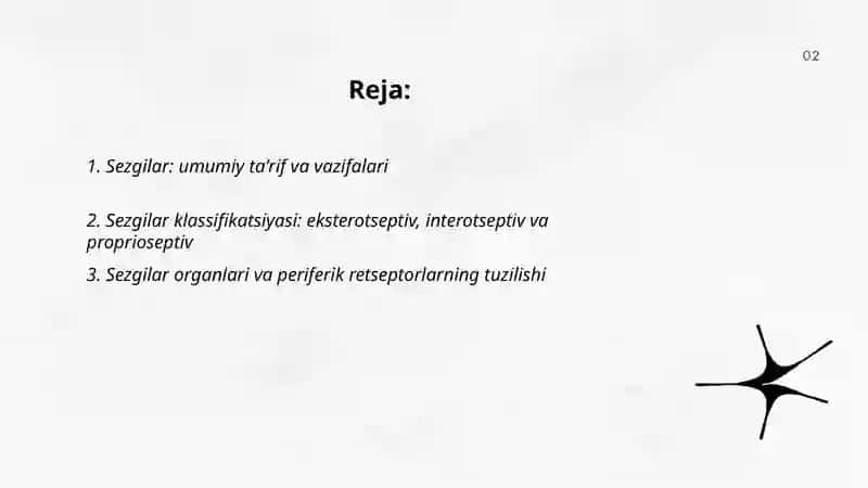 Sezgilar haqida umumiy tushuncha uning nerv fiziologik asoslari 2