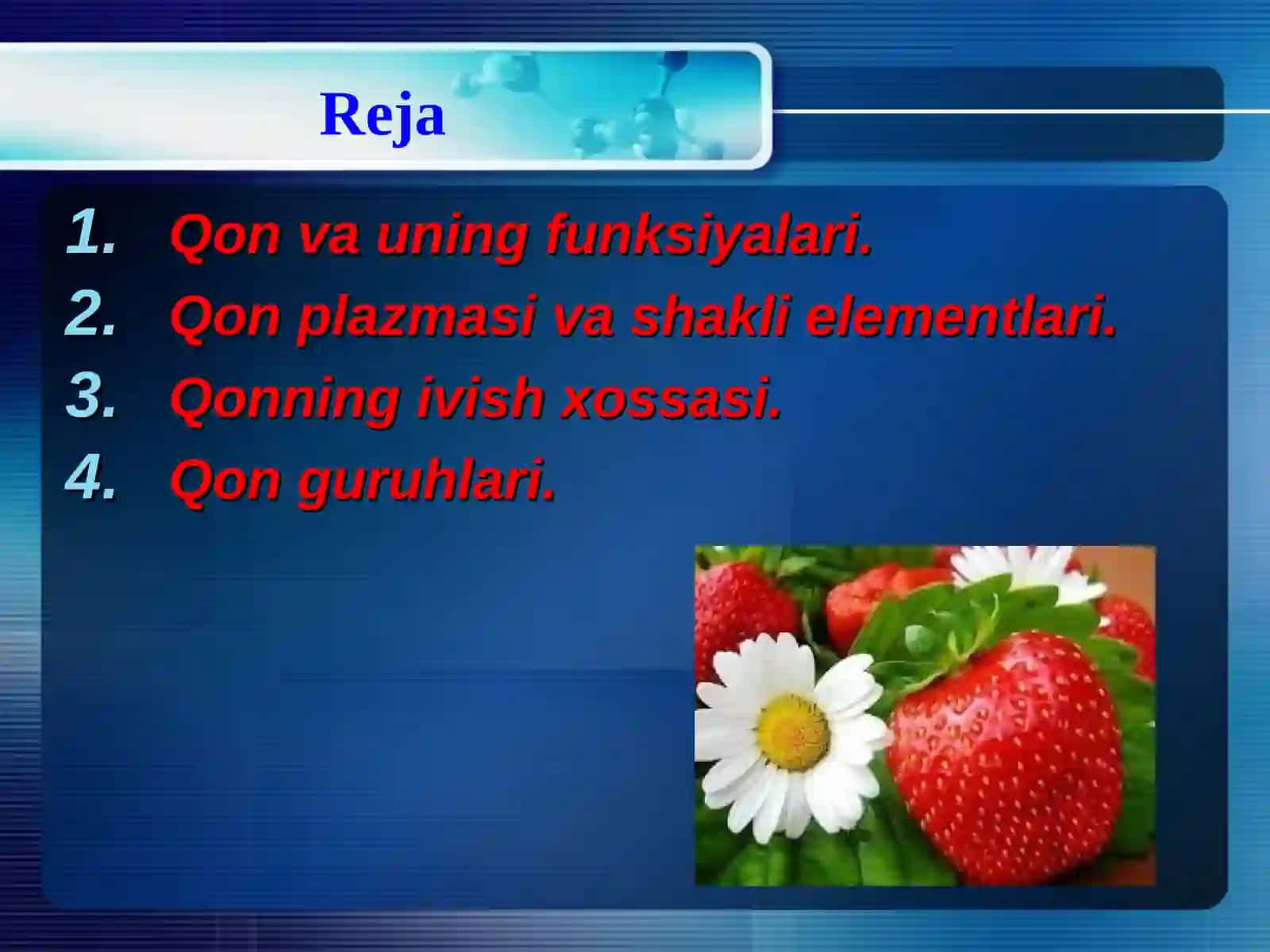 Qon tizimining fiziologiyasi 2
