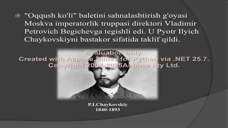 Oqqush ko'li baleti 2