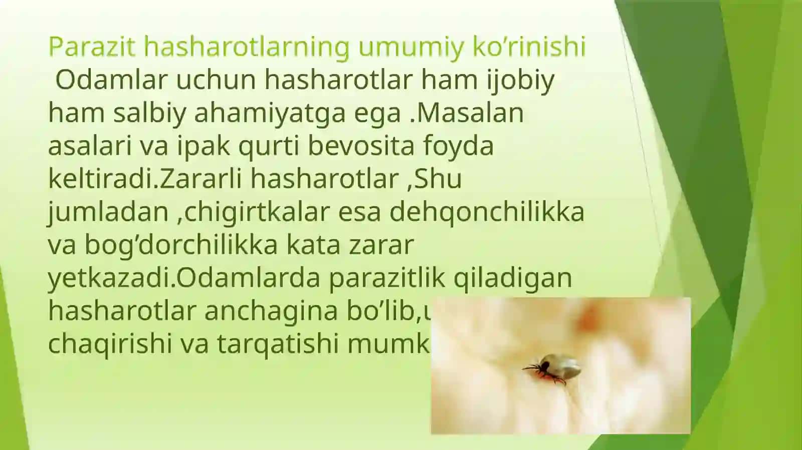 Parazit hasharotlar 2