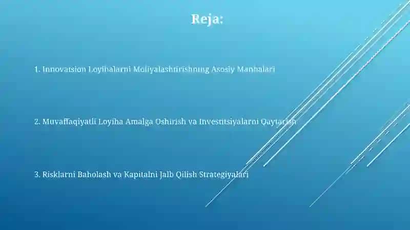 Innovatsion Loyihalarni Moliyalashtirishning Asosiy Manbalari 2