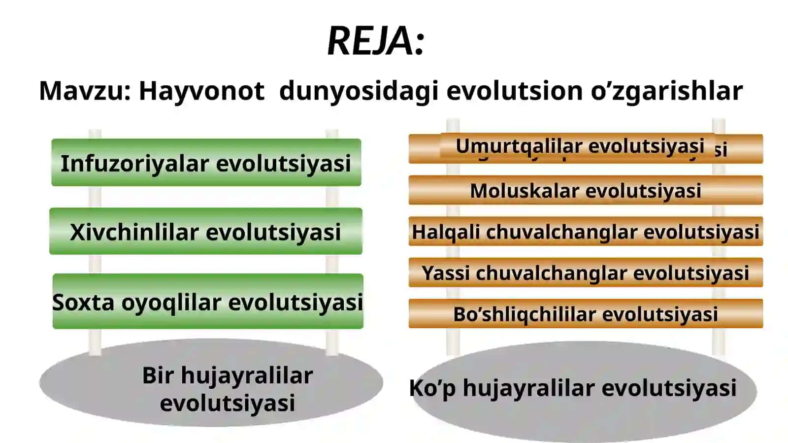 Hayvonot dunyosidagi evolutsion o’zgarishlar 2