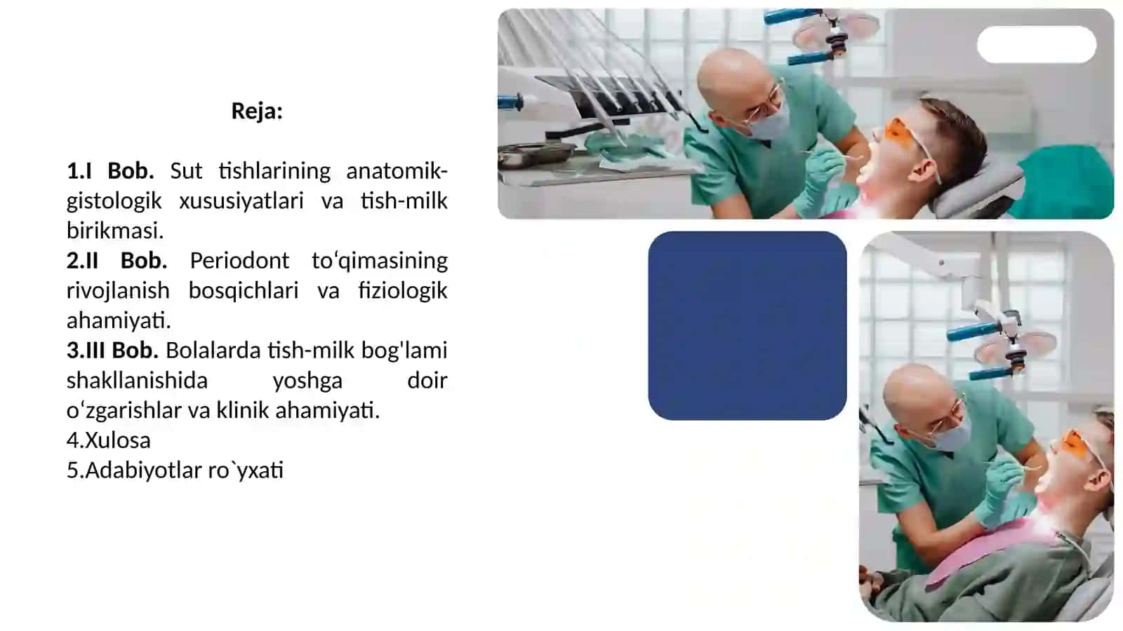 Tish-milka yig'lanma bog'lamlari va periodont shakllanishi bosqichlari 2