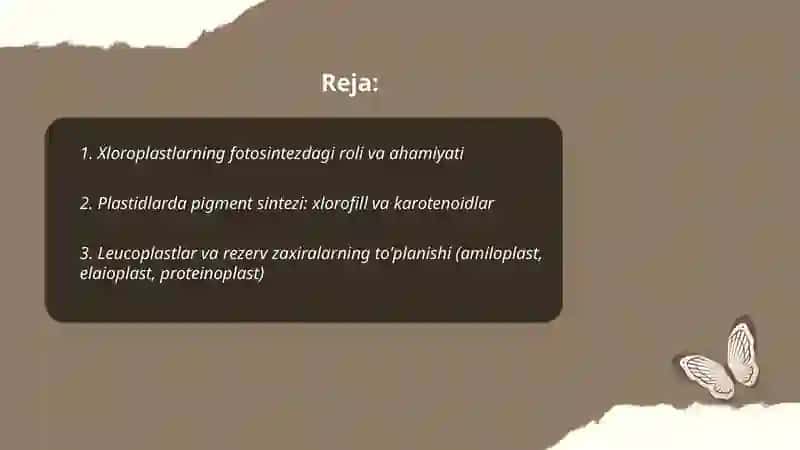 Plastidalarning o’simlik organizmidagi ahamiyati 2
