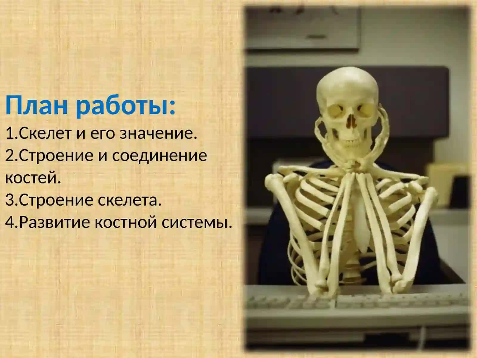 ВОЗРАСТНЫЕ ОСОБЕННОСТИ ОПОРНО-ДВИГАТЕЛЬНОЙ СИСТЕМЫ 2