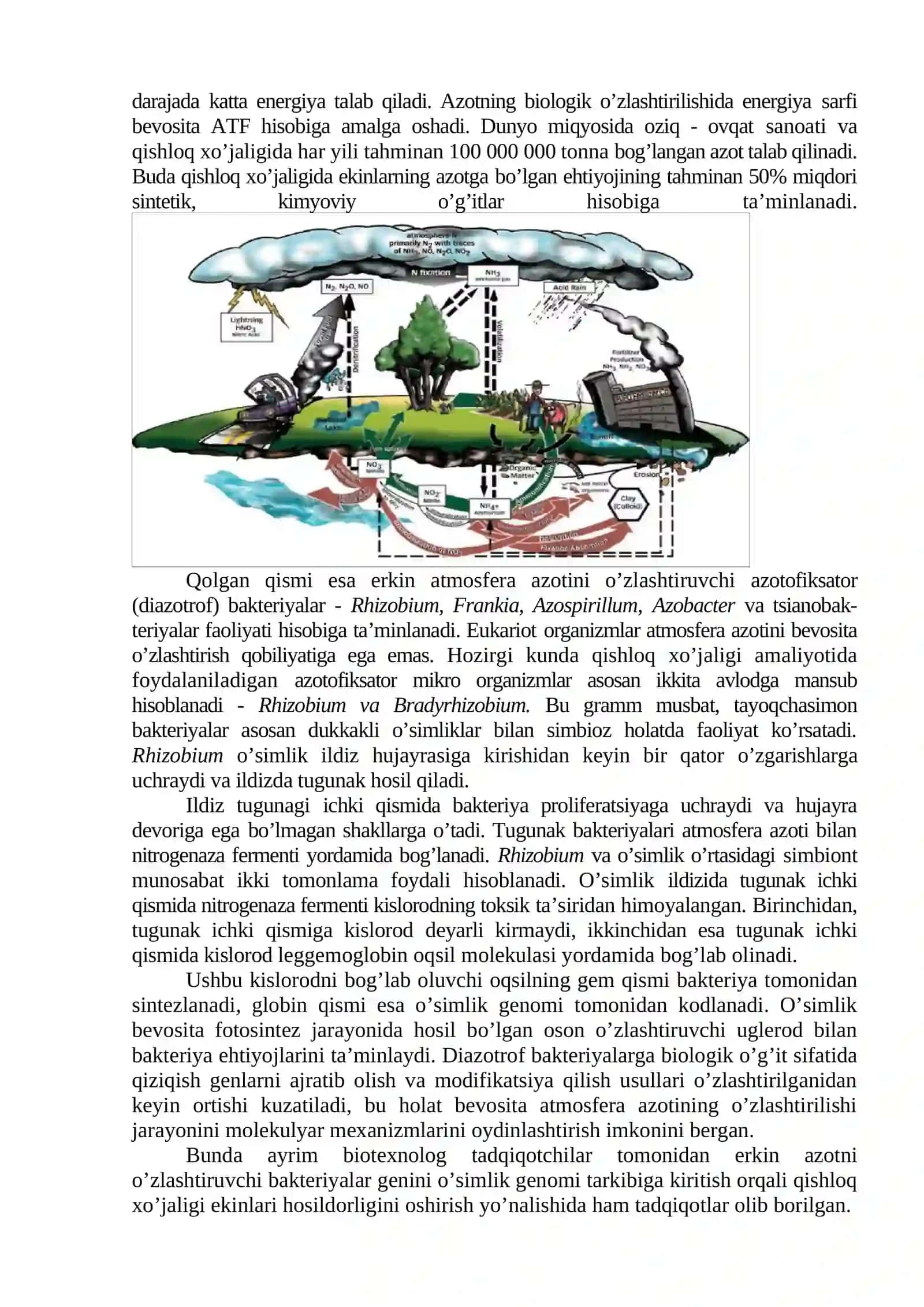 O’SIMLIK ILDIZIDAGI MIKROORGANIZMLAR VA ULARNING AHAMIYATI 2