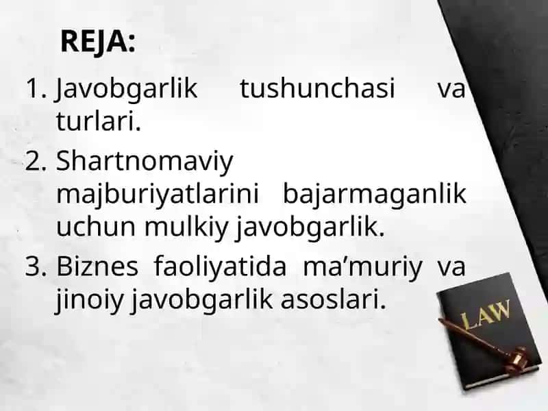 Biznes Munosabatlarida Javobgarlik 2