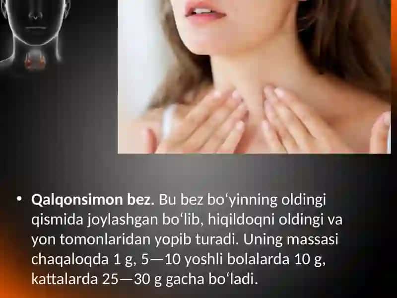 Qalqonsimon bez 2