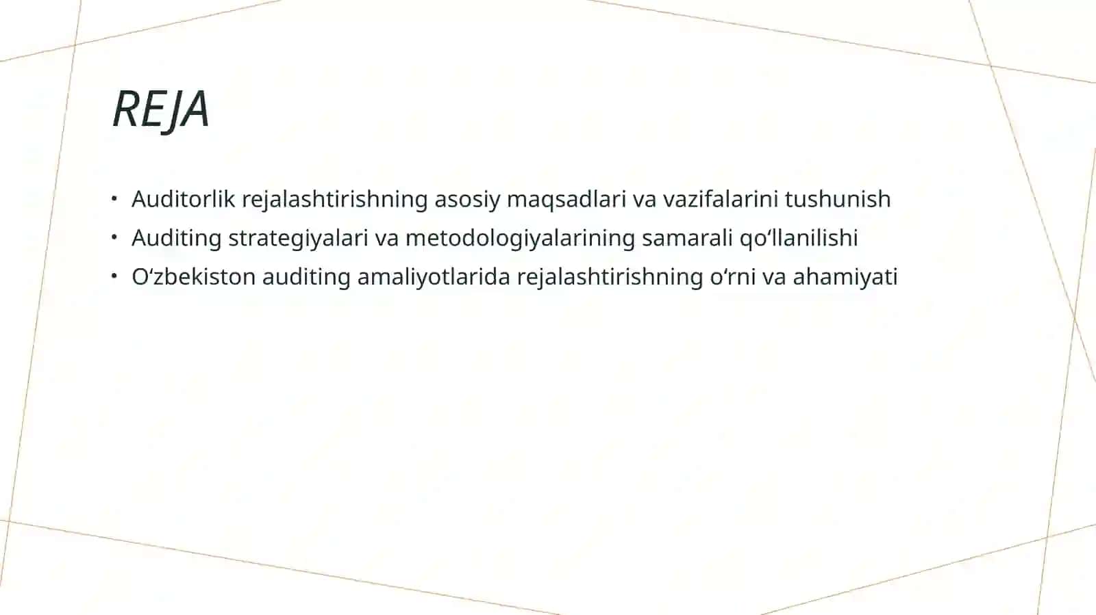 Auditorlik tekshiruvini rejalashtirish maqsadi va vazifalari 2