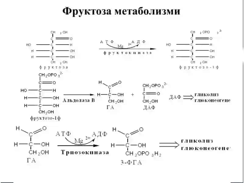 Radioaktivelementlar 2