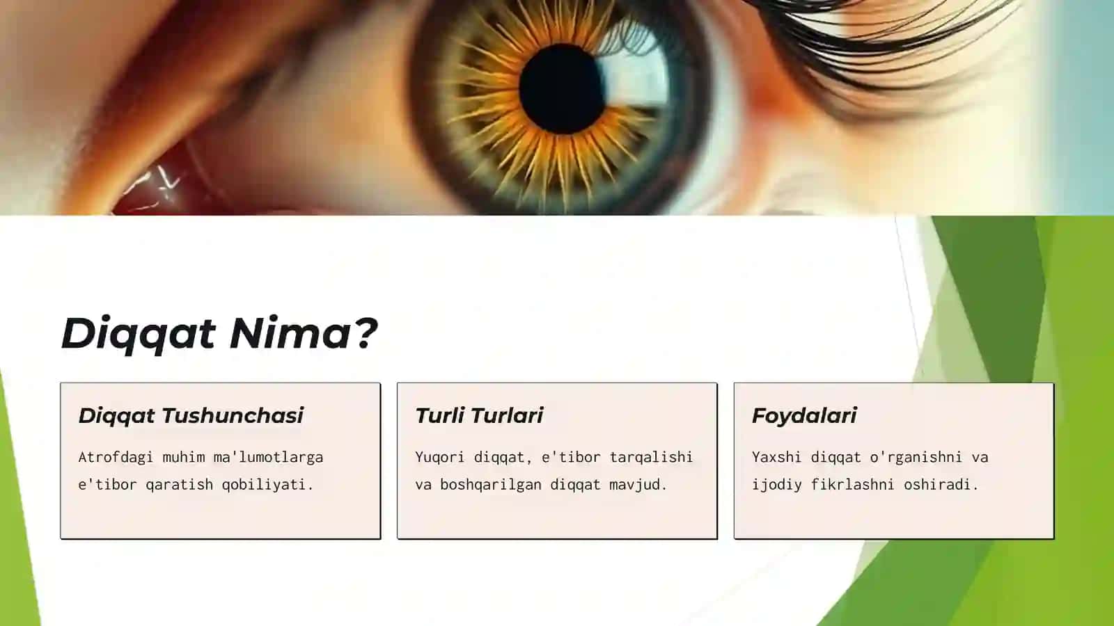 Diqqat va Tafakkur Asosiy Ko'nikmalar 2