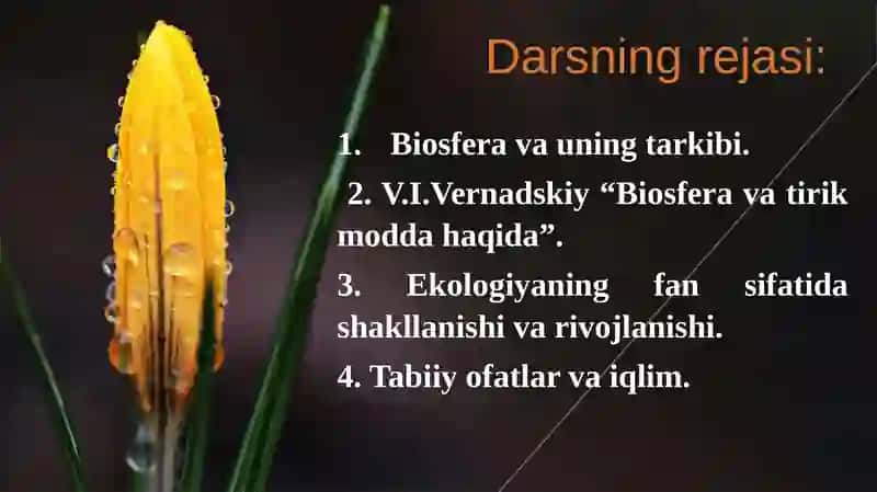 Ekologiya va biosfera 2