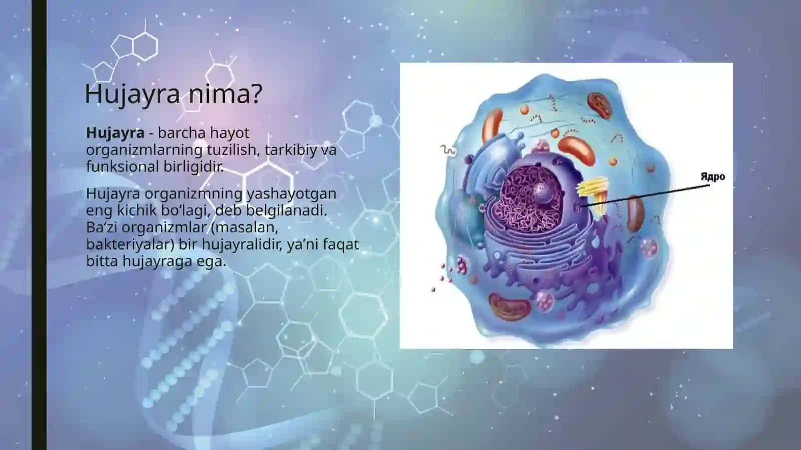 Biologiya,Hujayravato’qimahaqidama’lumot 2