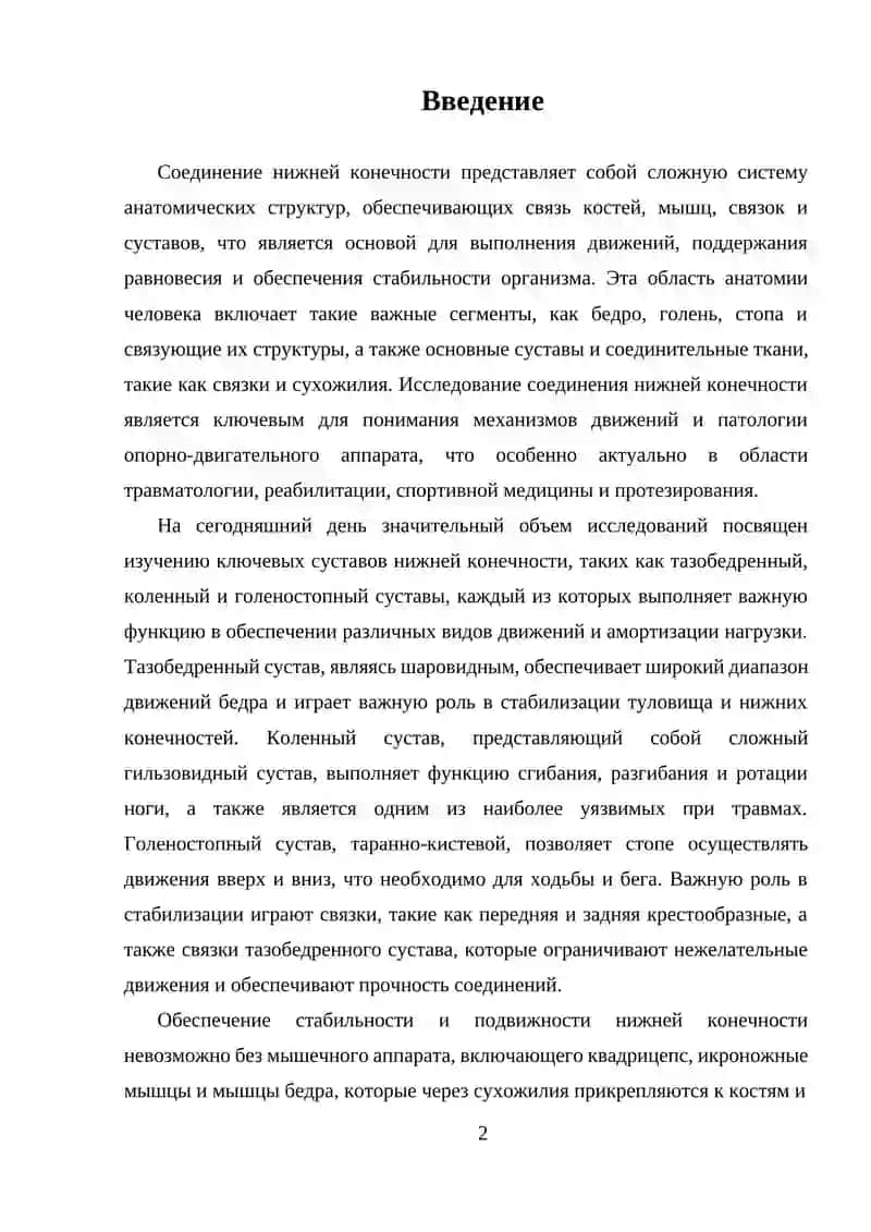 Ключевые суставы нижней конечности и их функции 2
