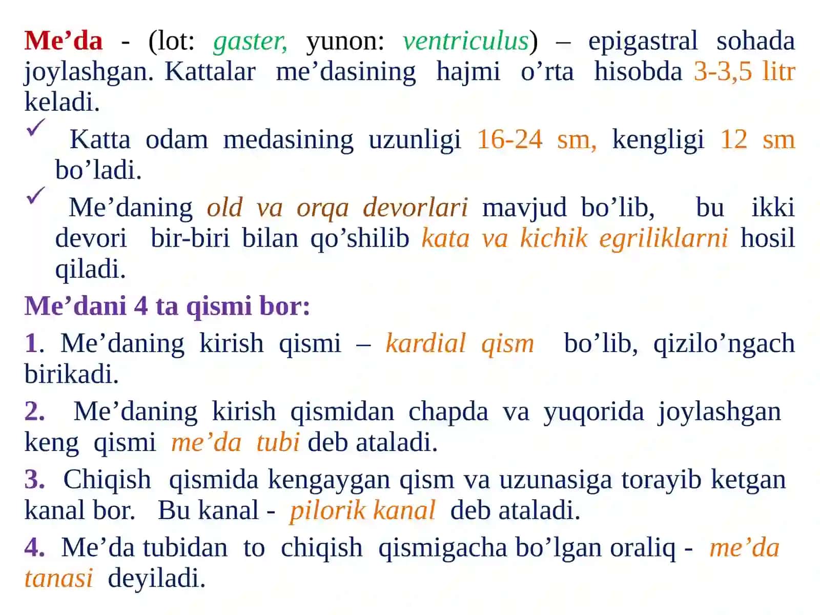 Oshqozon va ichak tizimlari anatomiyasi 2