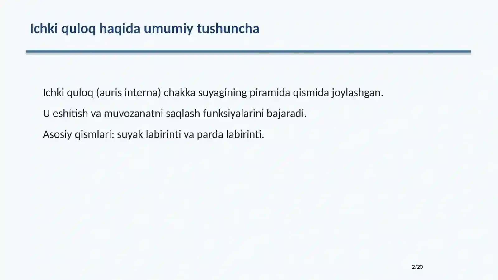 ICHKI QULOQ ANATOMIYASI 2