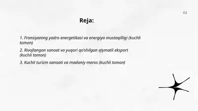 Fransiya SWOT tahlili 2