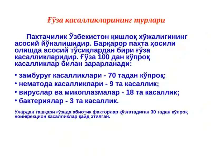 ҒЎЗА КАСАЛЛИКЛАРИ ВА УЛАРГА ҚАРШИ КУРАШ ЧОРАЛАРИ 2