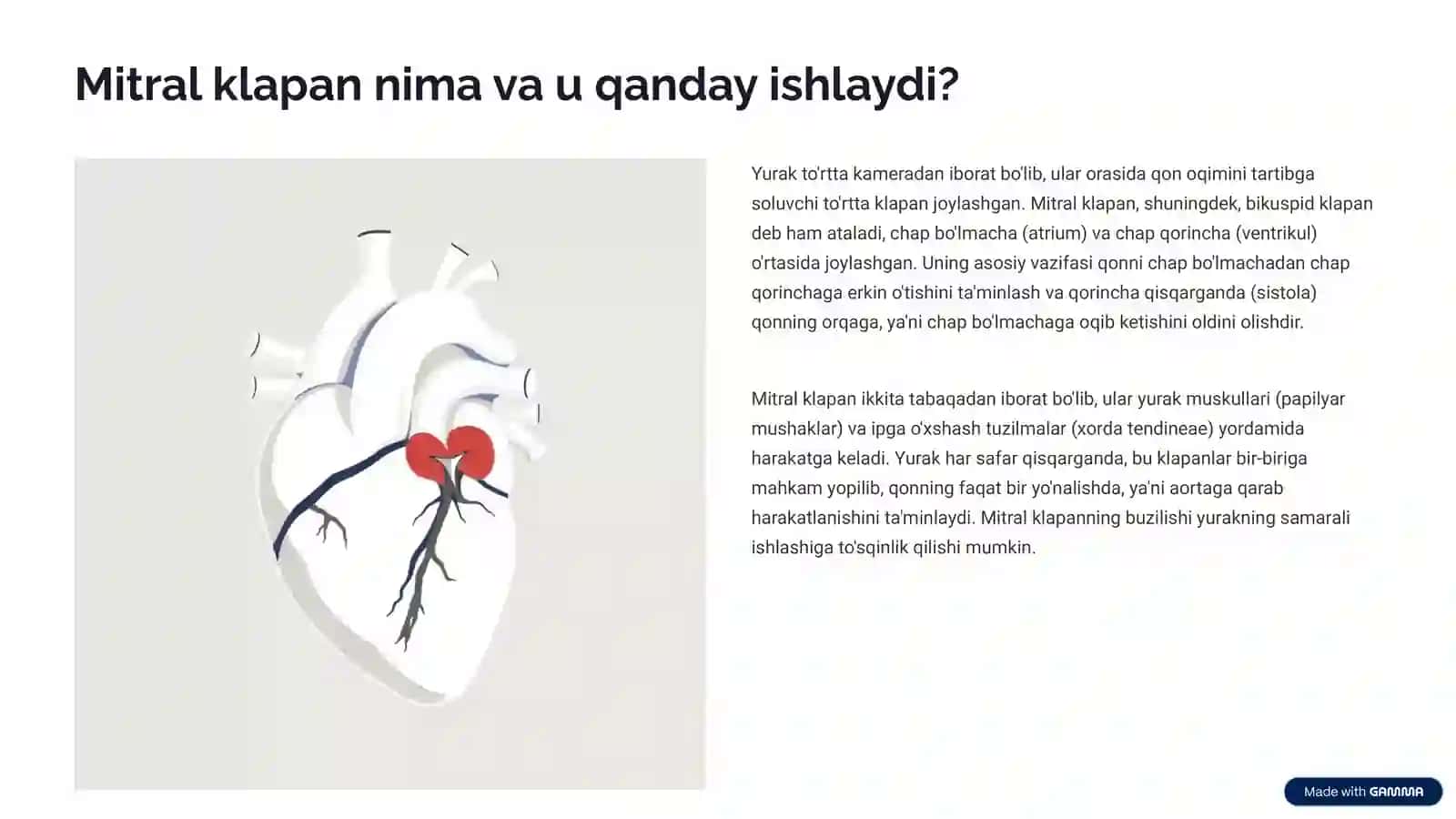 Mitral klapan prolapsi: Tushuncha, Belgilari va Davosi 2