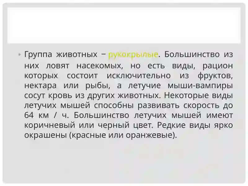 Фауна и экология летучих мышей 2