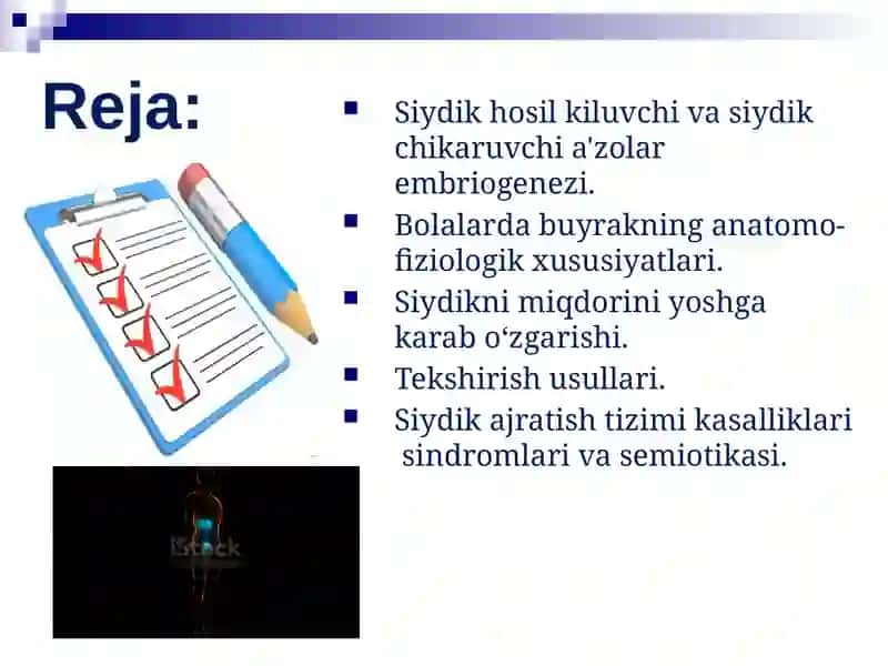 Bolalarda siydik hosil qilish va siydik ajratish tizimining anatomo-fiziologik xususiyatlari 2