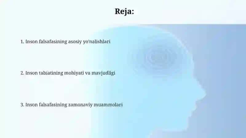 Insonfalsafasi 2