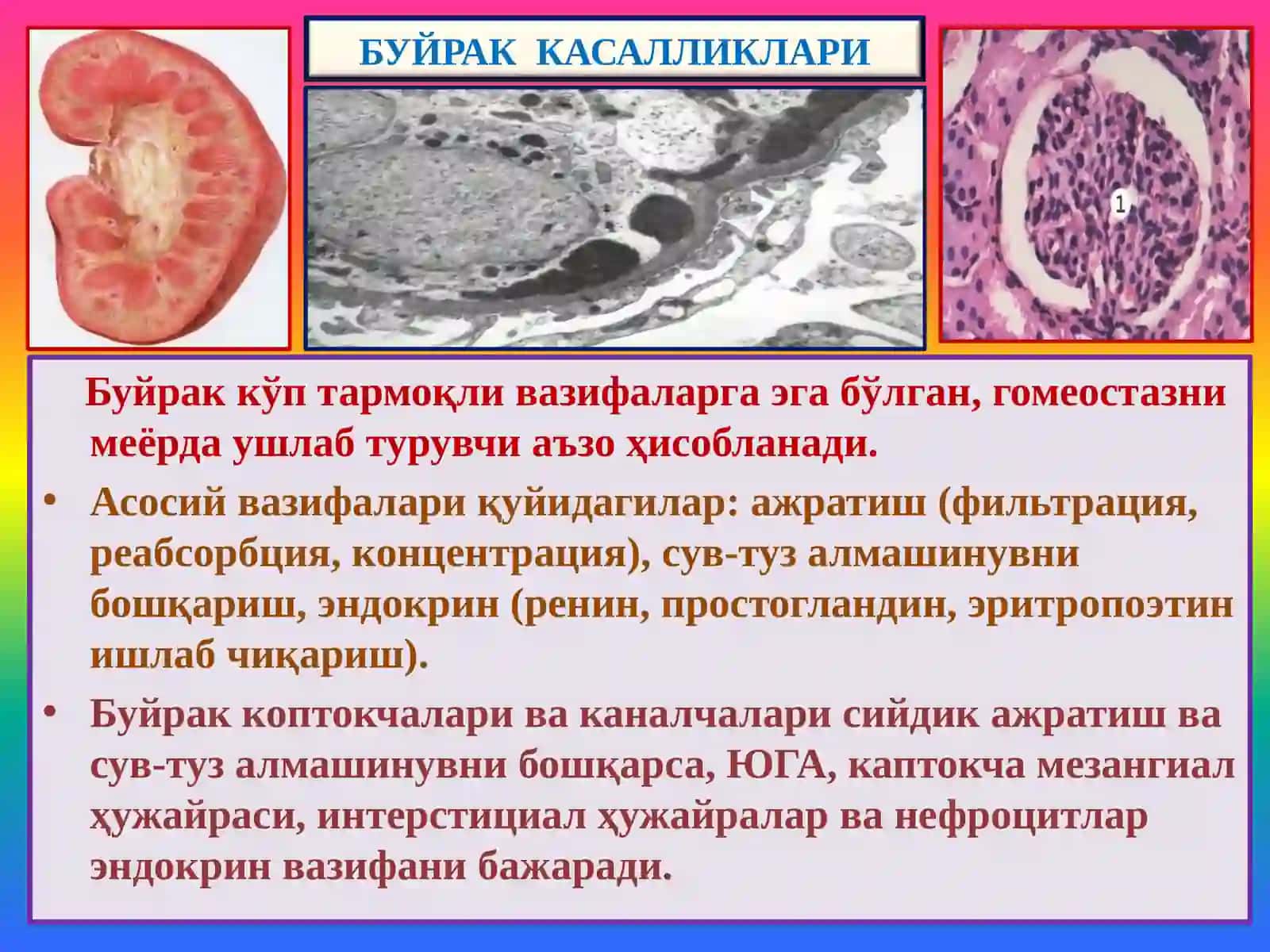 Буйрак касалликлари 2