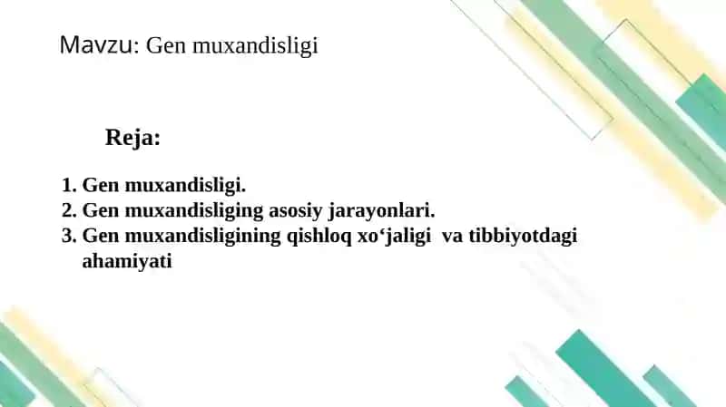 Genmuxandisligi 2