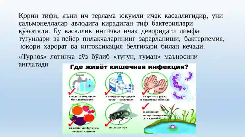 Қоринтифи 2