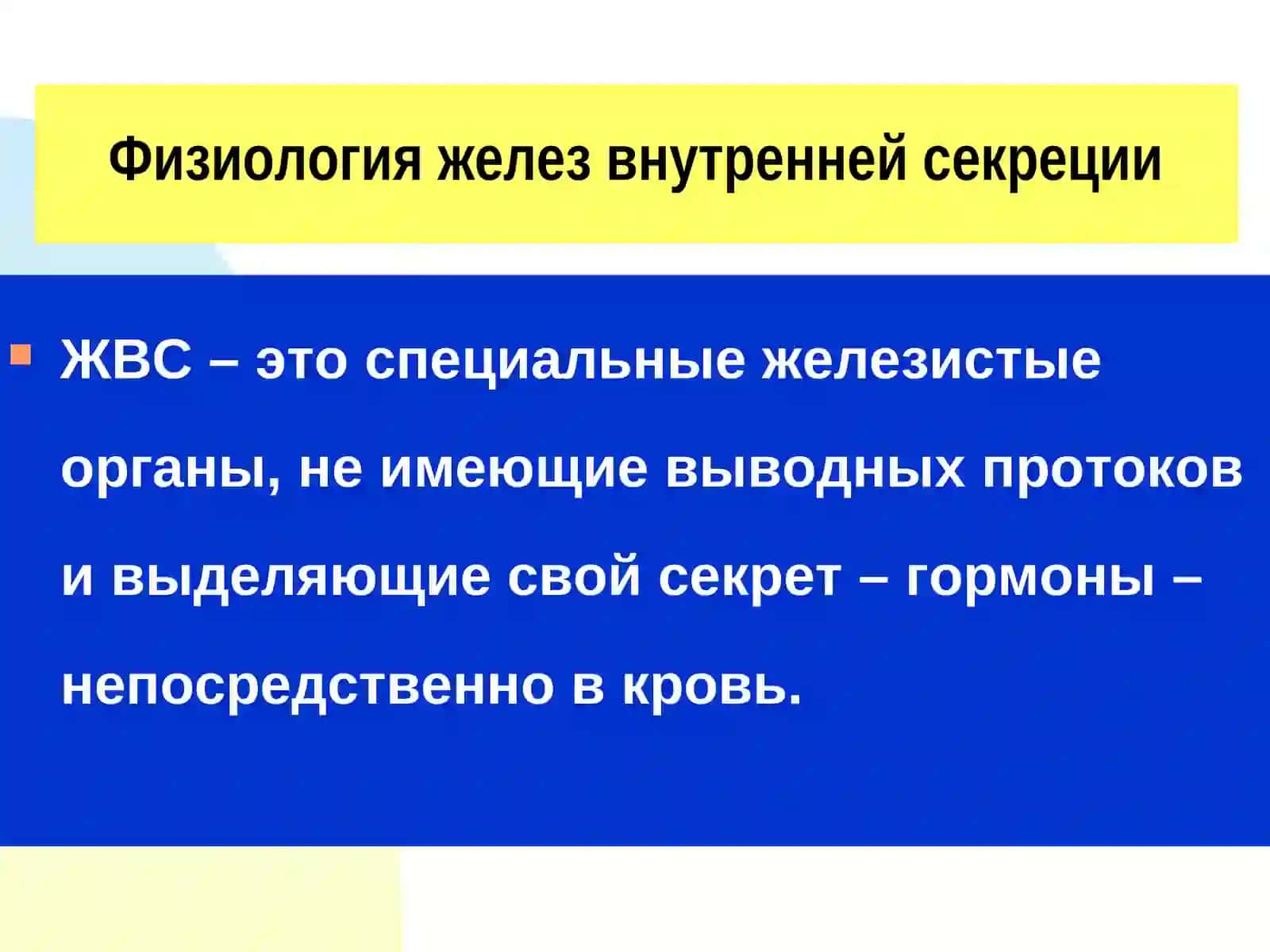 ФИЗИОЛОГИЯ ЭНДОКРИННОЙ СИСТЕМЫ - 1 2