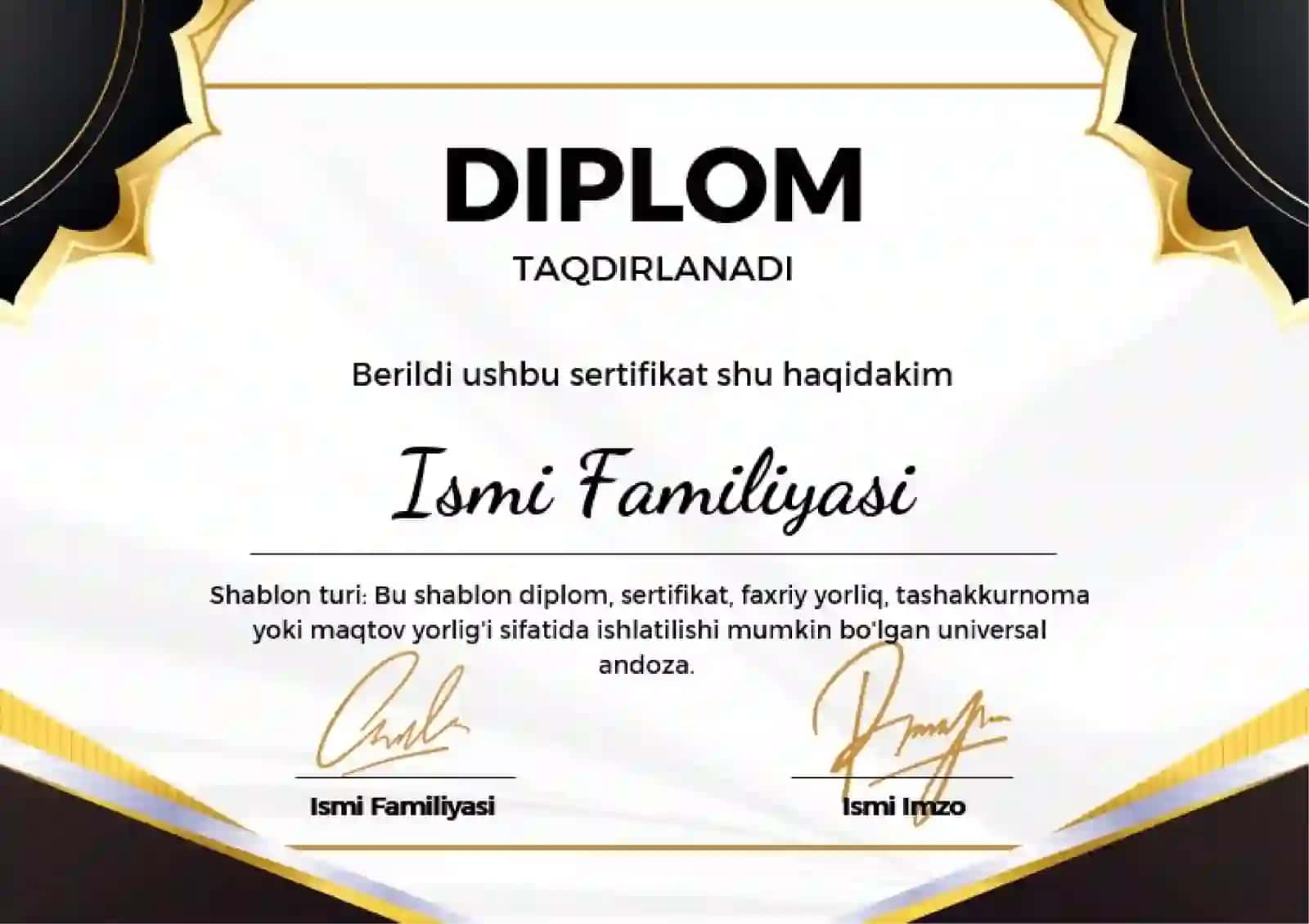 DIPLOM 2