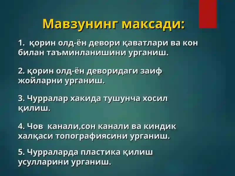 Қорин олд-ён деворининг Клиник Анatомияси 2