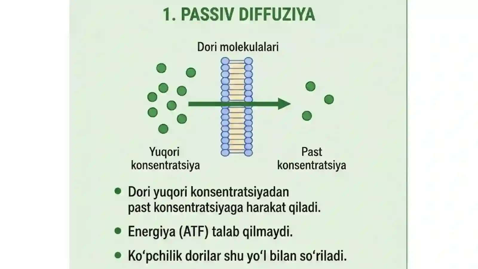Dorilarning soʻrilish turlari 2