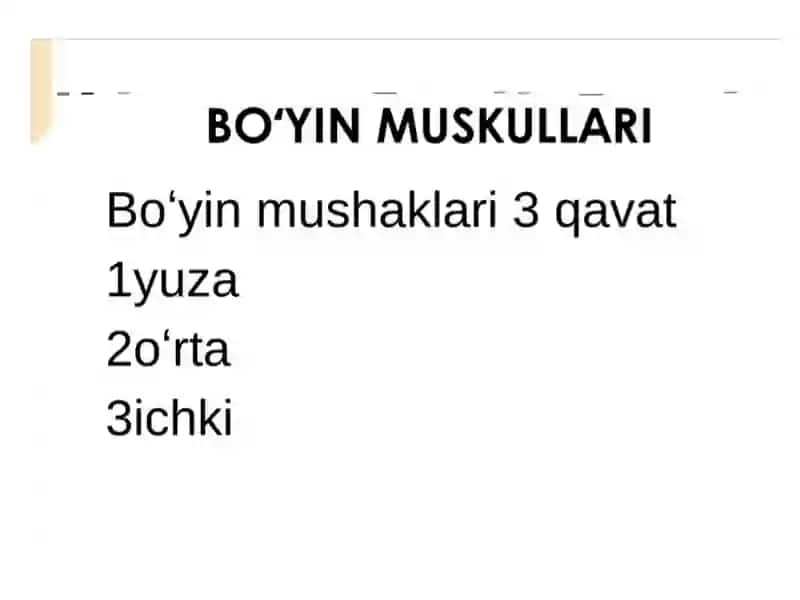 Bo‘yinning lateral soxasi 2