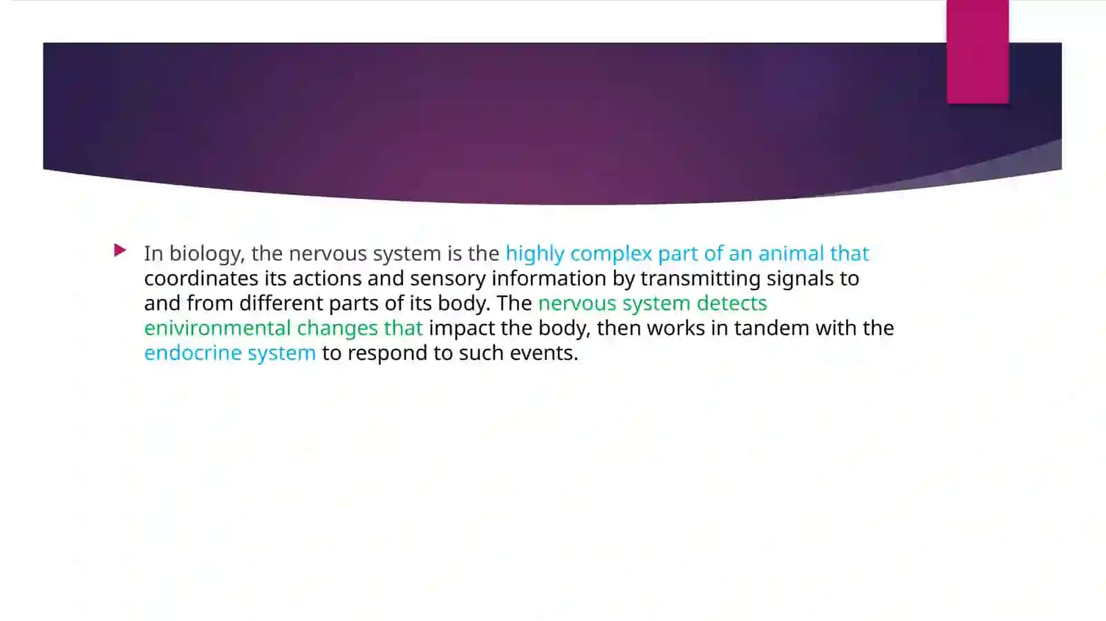 Nervous system 2