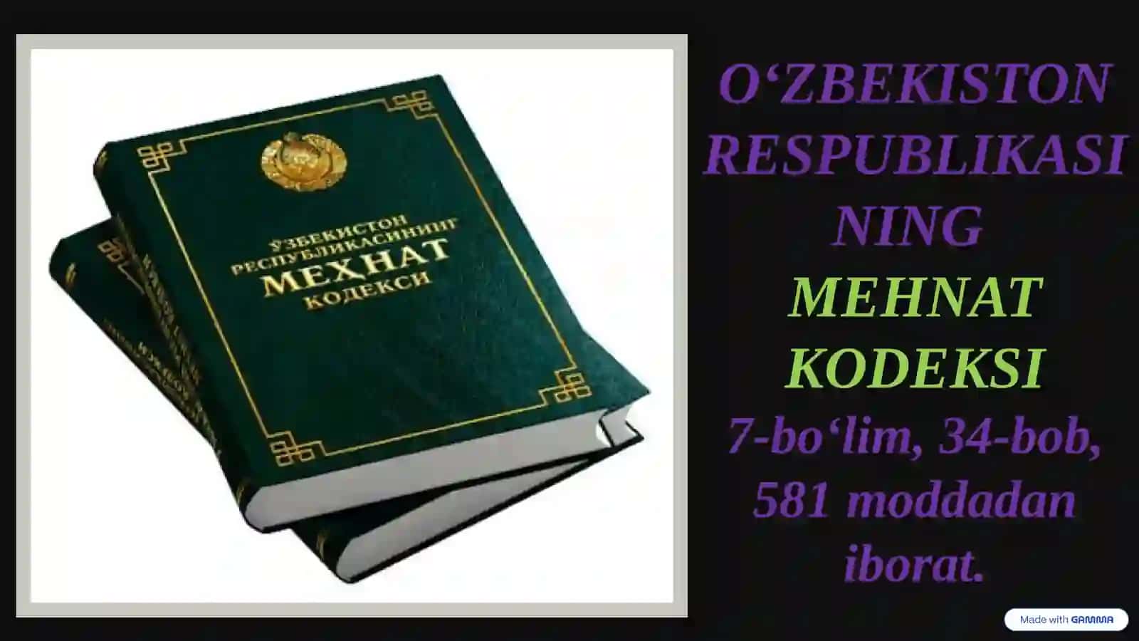 MEHNAT NIZOLARINI KOʻRIB CHIQISH 2