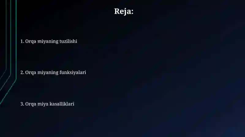 Orqa miya 2