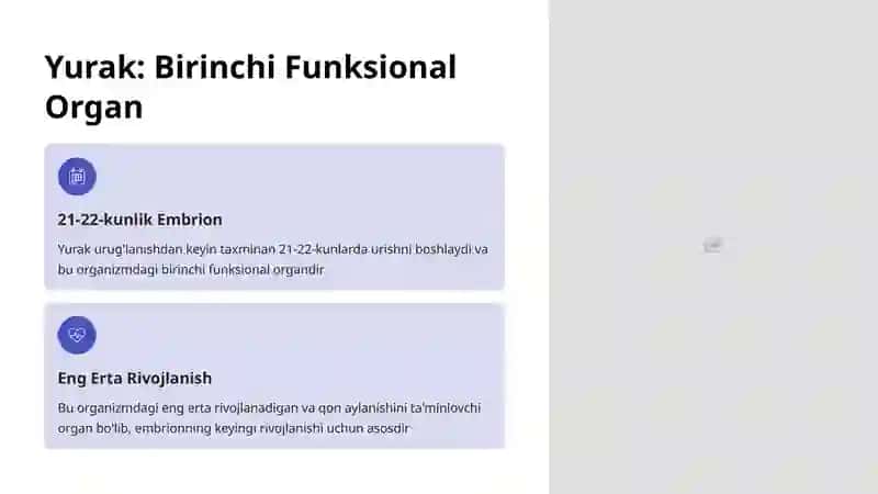 Yurak Rivojlanishining Embriologiyasi 2