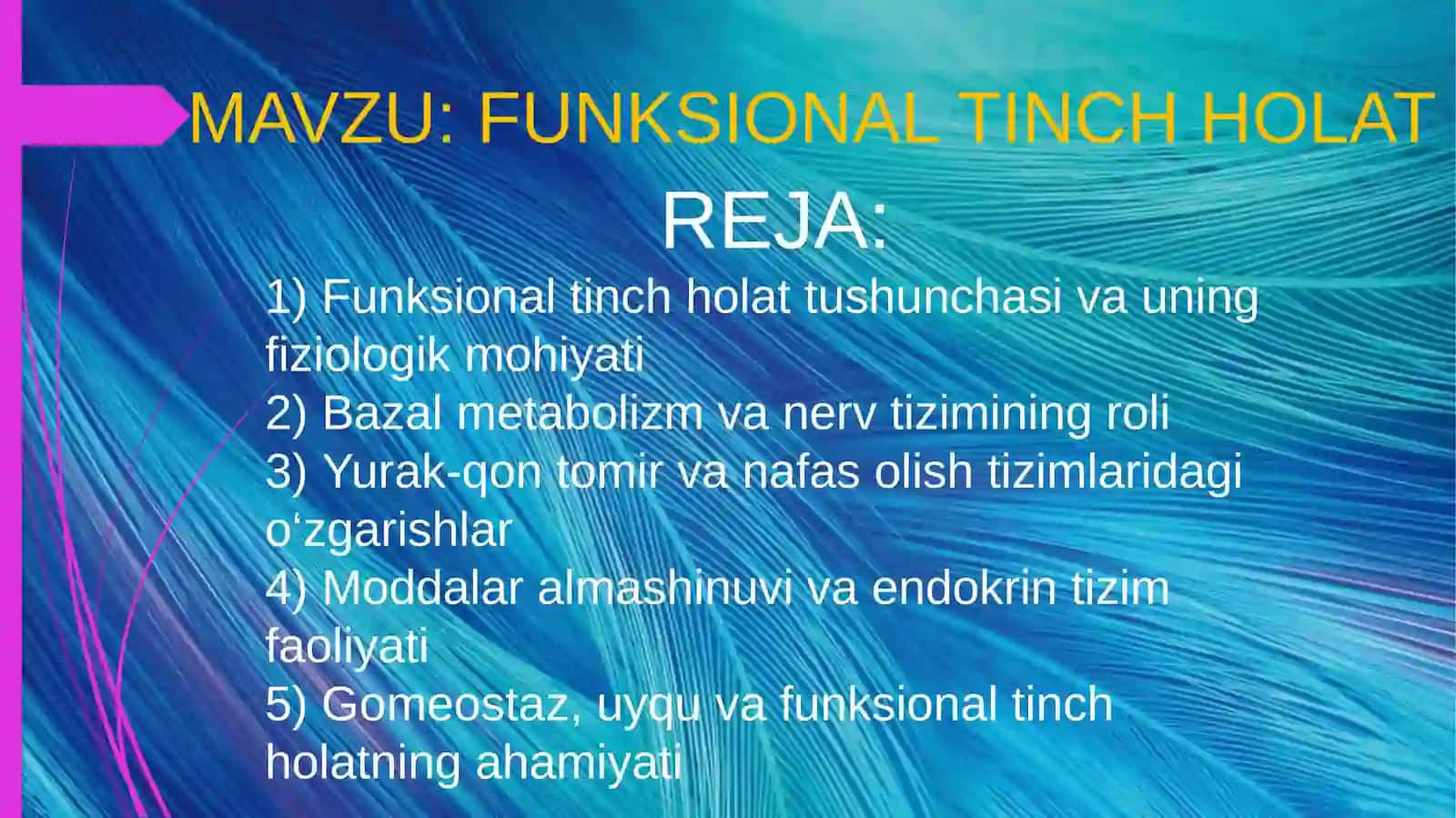 Funksional tinch holat 2