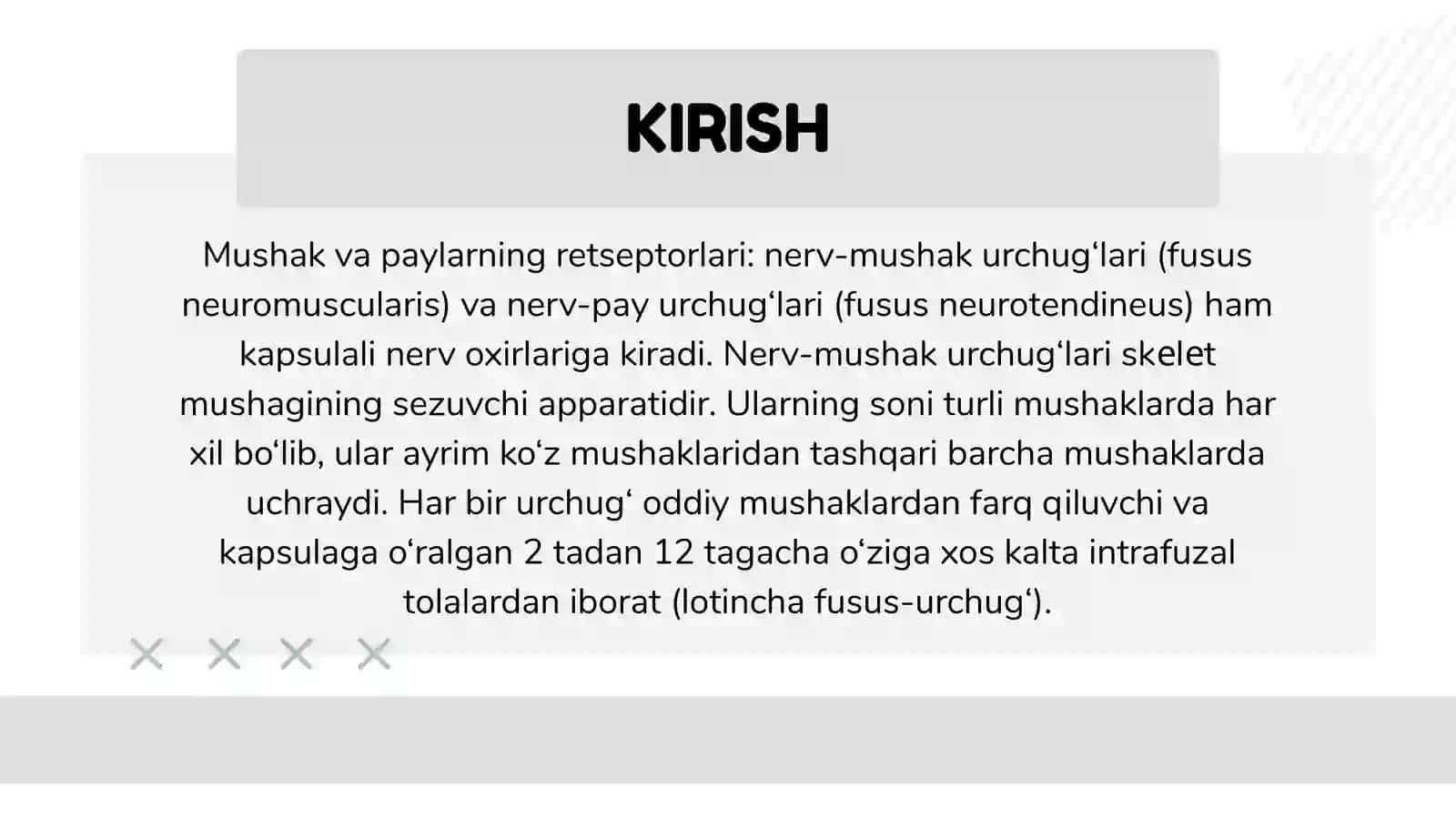 NERV-MUSHAK URCHUQLARINING TUZILISHI VA ISHLASH PRINSIPI 2