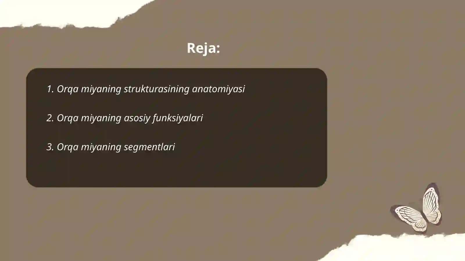 Orqa miyaning tuzilishi 2