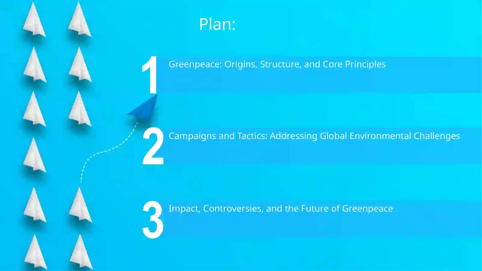 Greenpeace: Origins, Structure, and Core Principles 2
