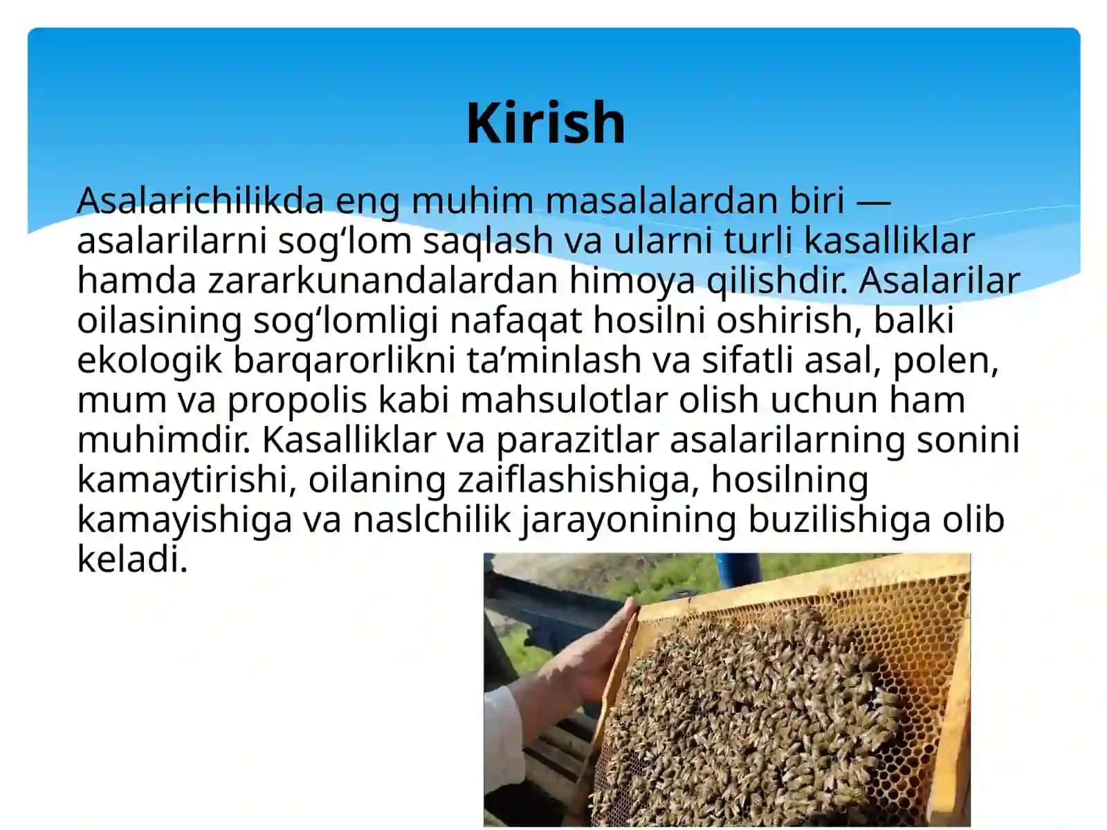 Mavzu: Asalarilarda uchraydigan kasalliklar va zararkunandalardan muhofaza qilish choralari 2