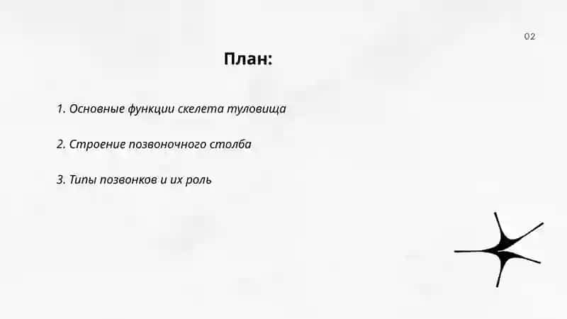 Скелет туловища.Система органов дыхания 2